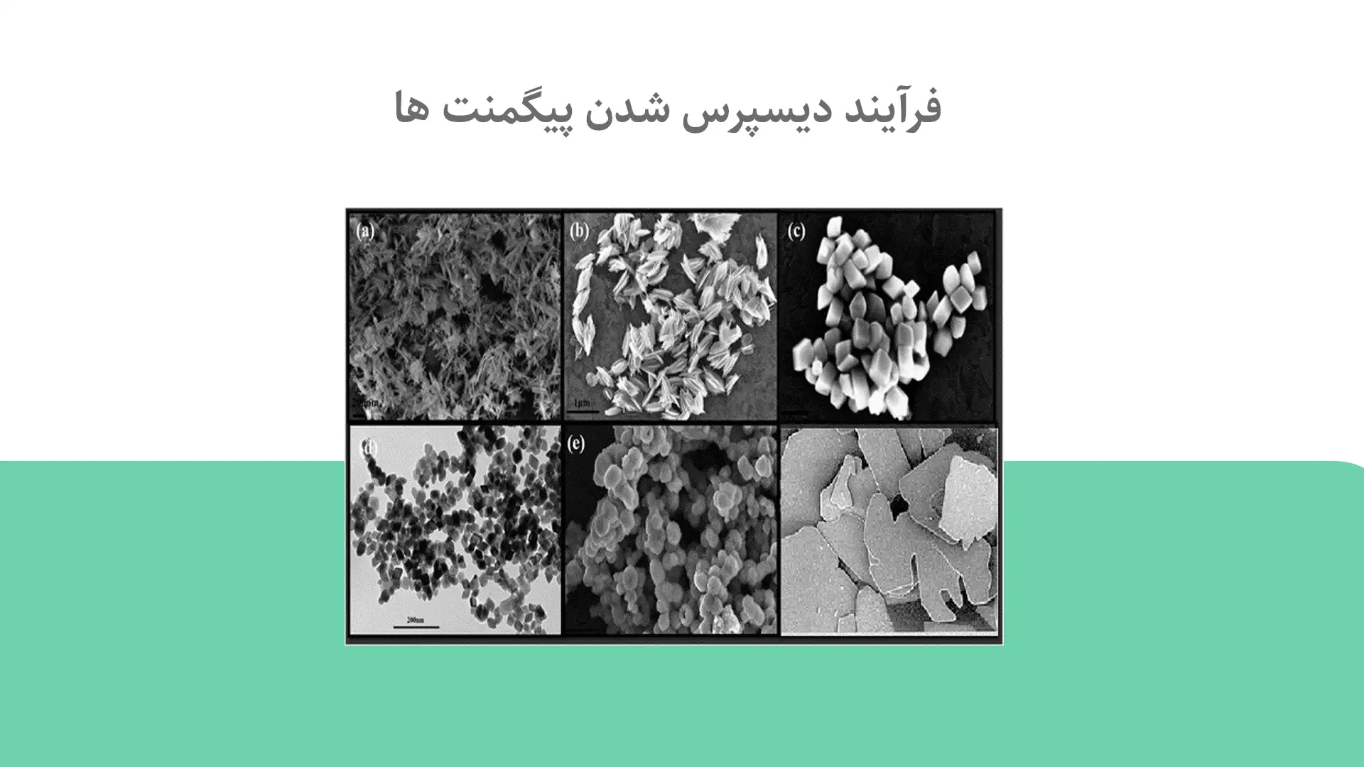 مکانیسم دیسپرس شدن پیگمنت ها dispersion