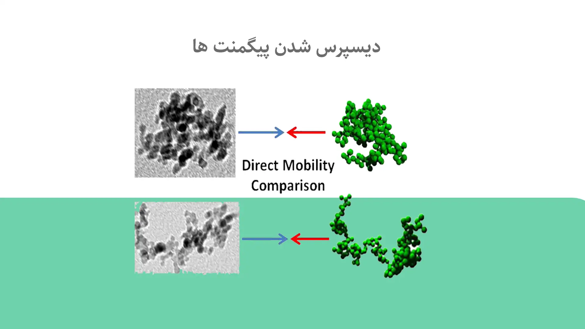 دیسپرس شدن پیگمنت ها