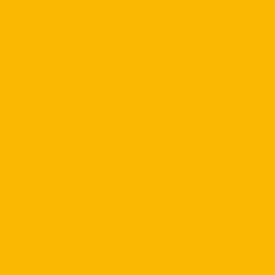 LEMON CHROME L-21 ANUCHROME-1