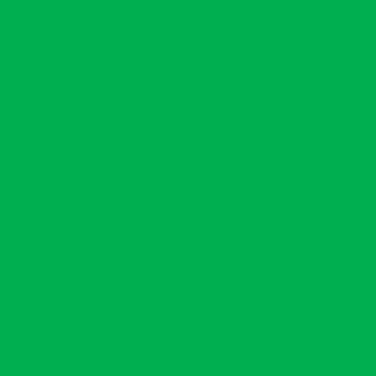 Navfast-Green-9061-2