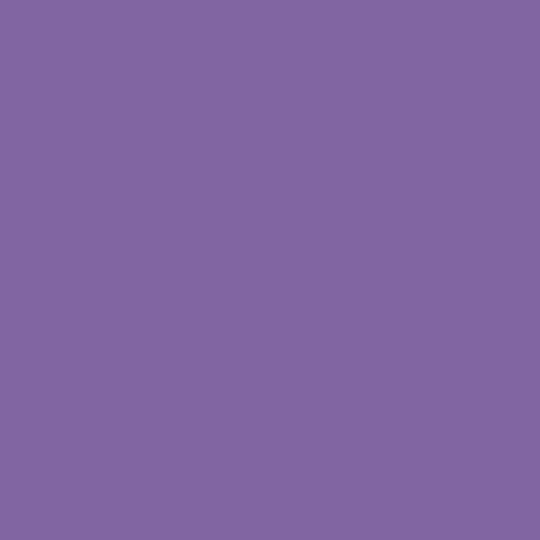 Navfast-Violet-BLP-9045-1