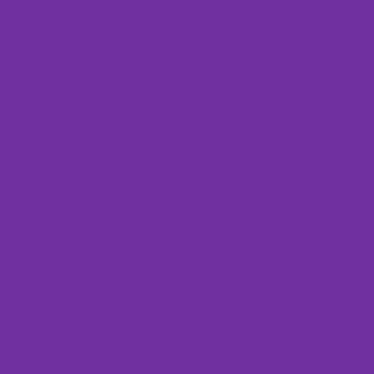 Navfast-Violet-BLP-9045-2